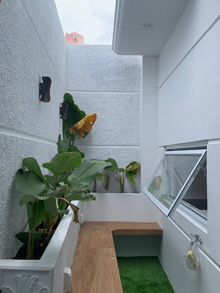 kodau (3)